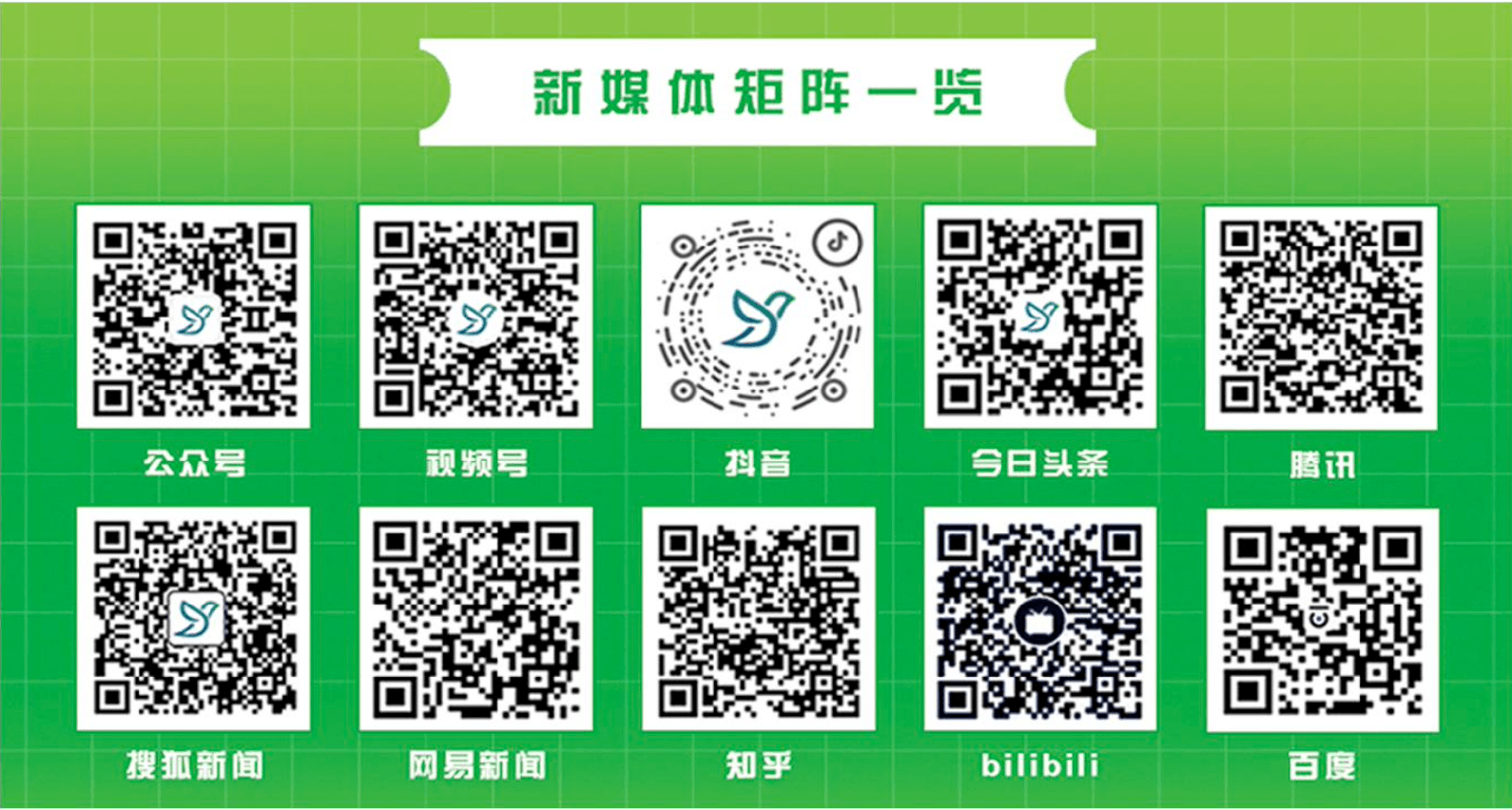 经燕化工平台新媒体矩阵